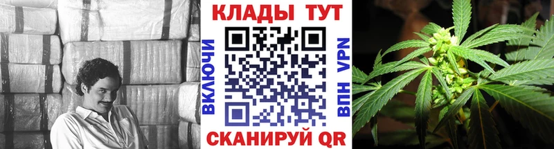 Купить наркоту Кедровый Гашиш Бошки Шишки Меф