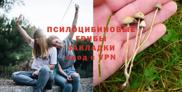 бошки Верея