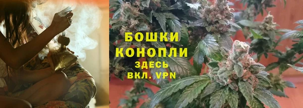 бошки Верея