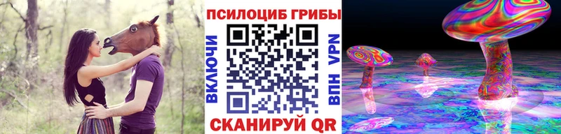 наркошоп  Кедровый  Галлюциногенные грибы Magic Shrooms 